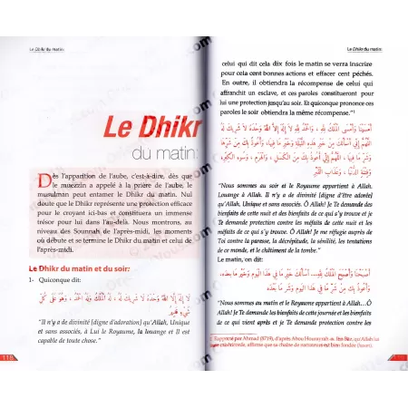 Une Journée avec le Messager