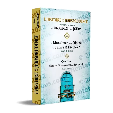 L'histoire de la jurisprudence expliqué par les savants des origines à nos jours