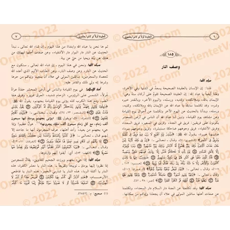 La primauté de la croyance, si seulement ils en étaient conscients: Recueil de sermons sur la croyance/العقيدة أولاً لو كانو يعل
