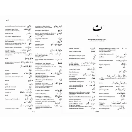 Dictionnaire Larousse Arabe - Français [90000 mots]