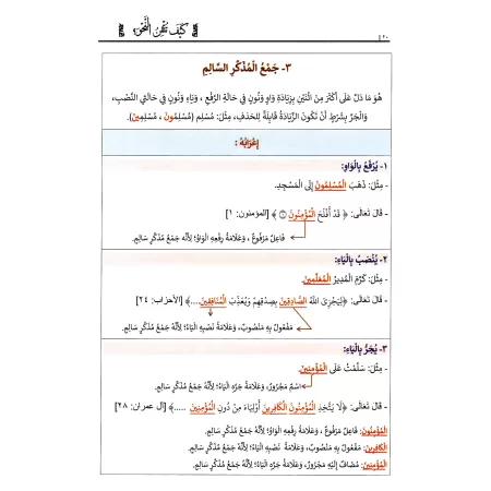 Comment maîtriser la grammaire ?/كيف تتقن النحو ؟