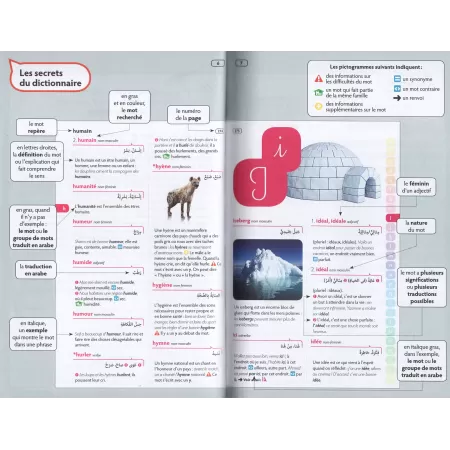 Larousse des écoliers : Dictionnaire illustré (français-français-arabe)/لاروس الطلاب: قاموس مصور فرنسي-فرنسي-عربي