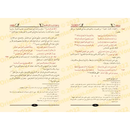 Al-Kâmil : L'Excellence dans la langue, la littérature et la grammaire/الكامل في اللغة والأدب والنحو