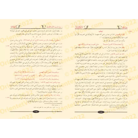 Al-Kâmil : L'Excellence dans la langue, la littérature et la grammaire/الكامل في اللغة والأدب والنحو