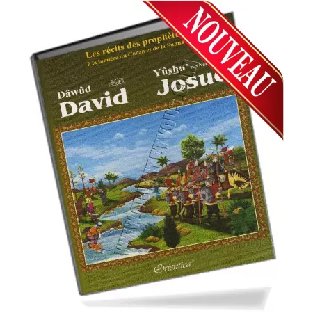 Histoire de "David (D&acirc;w&ucirc;d) - Josu&eacute; (Y&ucirc;shu&#039;)"