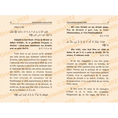 La signification de l'expression "il n'y a point de divinité à part Allah"