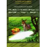 Histoire de "Elie (Ilyâs) & Elisée (Al-Yasa') - Dhu-l-Kifl - 'Uzayr - Dânyâl"