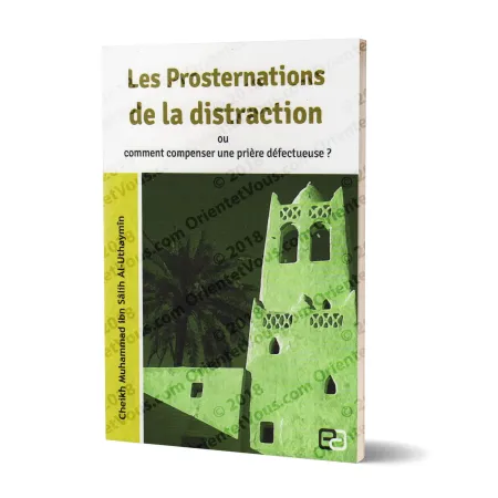 Les Prosternations de la Distraction