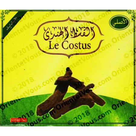 Costus Indien