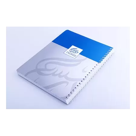 Cahier spirales moyen format bleu