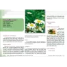 Plantes Médicinales de Méditerranée et d'Orient