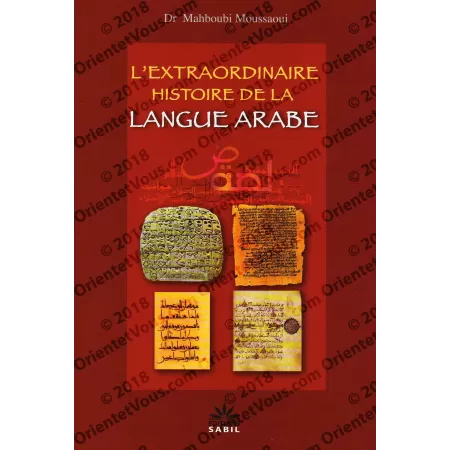L'extraordinaire histoire de la langue arabe