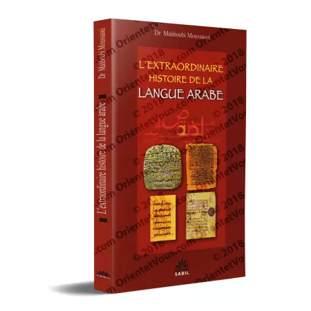 L'extraordinaire histoire de la langue arabe