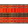 Shazarât az-Zahab fî Akhbâr man Zahab/شذرات الذهب في أخبار من ذهب