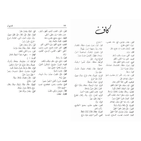 Dictionnaire de poche des synonymes et antonymes/معجم الجيب للمرادفات والأضداد