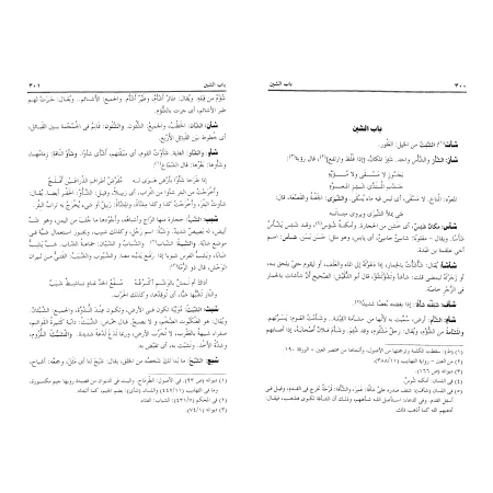 Kitâb al-'Ayn disposé par ordre alphabétique/كتاب العين مرتبا على حروف المعجم