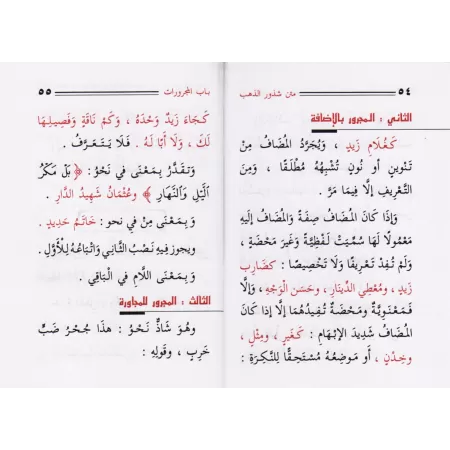Shuddhûr ad-Dhahab: Texte sur les règles de la langue arabe/متن شذور الذهب في معرفة كلام العرب